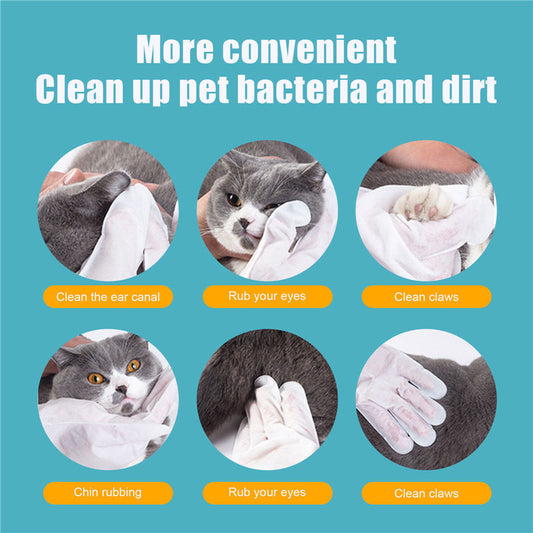 No-Bath Pet Cleaning Gloves – Quick Fresh Clean Anytime