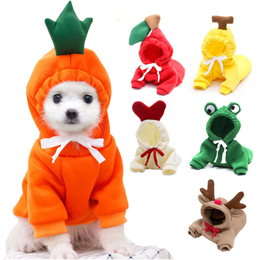 Small Dog Costume – Fun & Warm Pet Outfit