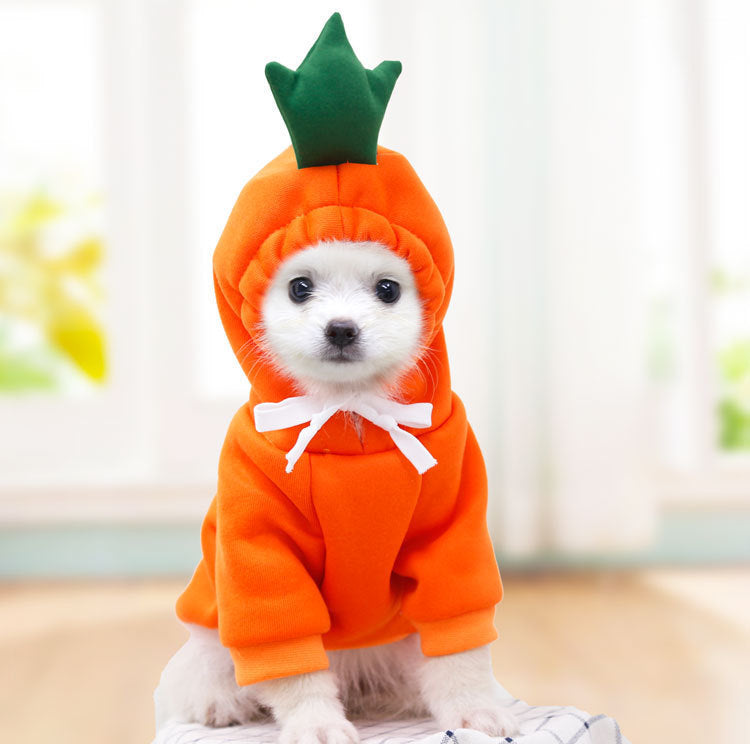 Small Dog Costume – Fun & Warm Pet Outfit