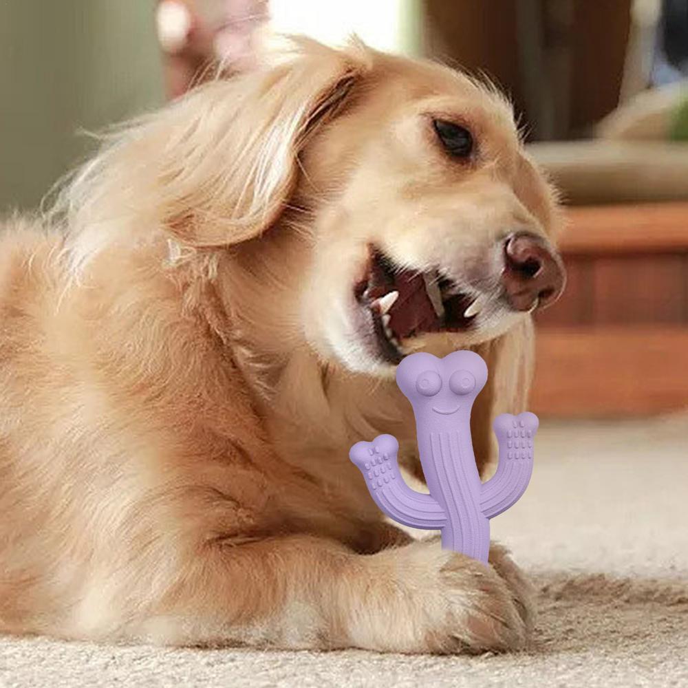 Ultra-Durable Cactus Dog Toy for Endless Playtime