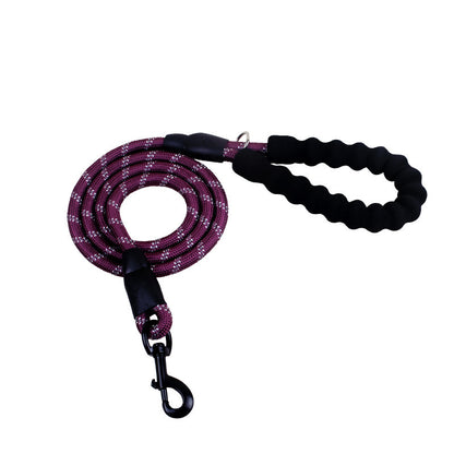Strong Pet Leash for Small to Large Dogs
