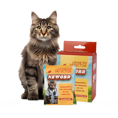 Smart Cat Litter – Self-Checking Clean Particles for Cats