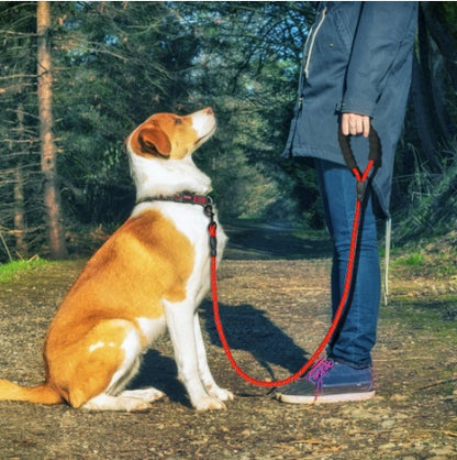 Strong Pet Leash for Small to Large Dogs