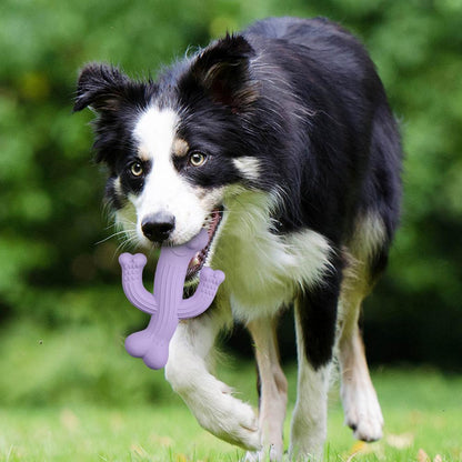 Ultra-Durable Cactus Dog Toy for Endless Playtime