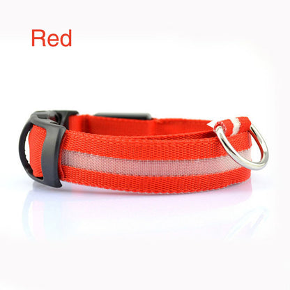 Safety Dog LED Collar