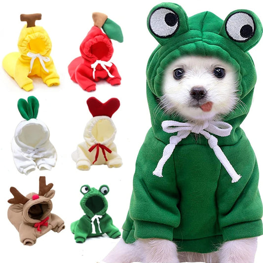 Small Dog Costume – Fun & Warm Pet Outfit