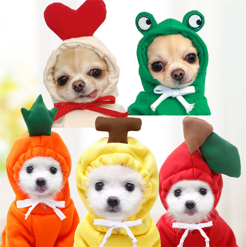Small Dog Costume – Fun & Warm Pet Outfit