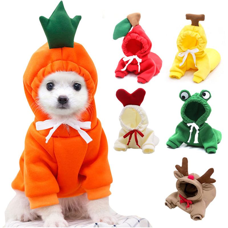 Small Dog Costume – Fun & Warm Pet Outfit